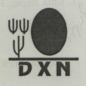 DXN (and logo) trademark logo