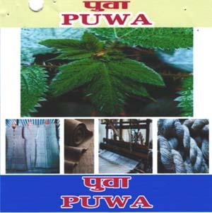 PUWA (and logo) trademark logo