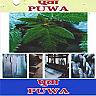 PUWA (and logo) trademark logo