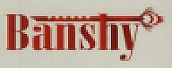 BANSHY (and logo) trademark logo