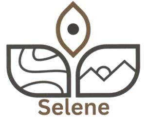 Selene (and logo) trademark logo