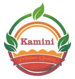 KAMINI (and logo) trademark logo
