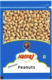 NATRAJ (and logo) trademark logo