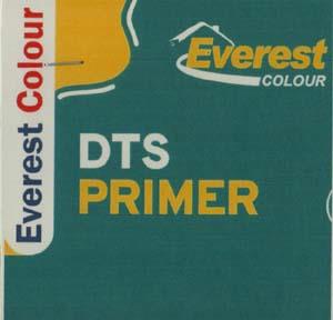 DTS PRIMER (and logo) trademark logo