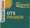 DTS PRIMER (and logo) trademark logo
