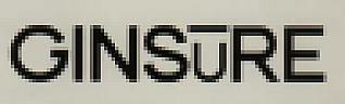 GINSURE (and logo) trademark logo