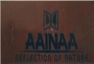 AAINAA (and logo) trademark logo