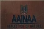 AAINAA (and logo) trademark logo