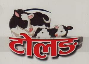 TOLANG (and logo) trademark logo