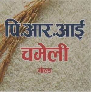 P.R.I.CHAMELI (and logo) trademark logo
