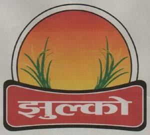 JHULKO (and logo) trademark logo