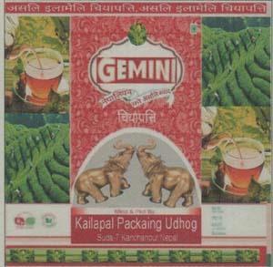 GEMINI (and logo) trademark logo