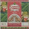GEMINI (and logo) trademark logo