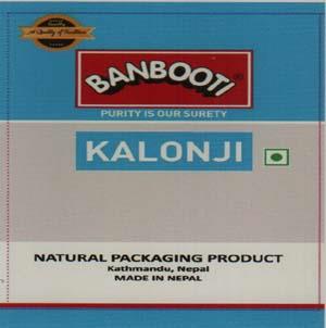 BANBOOTI (and logo) trademark logo