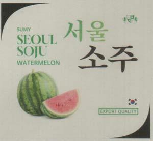 SUMY SEOUL SOJU WATERMELON (and logo) trademark logo