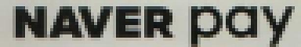 NAVER pay (and logo) trademark logo