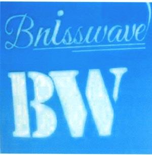 Bnisswave BW (and logo) trademark logo