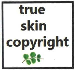 TRUESKIN COPYRIGHT (and logo) trademark logo
