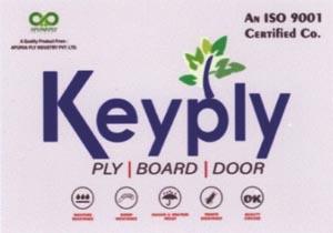 KEYPLY (and logo) trademark logo