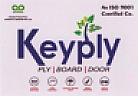 KEYPLY (and logo) trademark logo