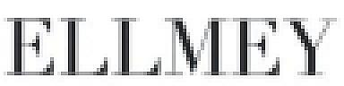 ELLMEY (and logo) trademark logo