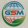 GSM (and logo) trademark logo