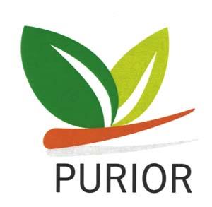PURIOR (and logo) trademark logo