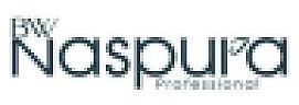 BW NASPURA PROFESSIONAL (and logo) trademark logo