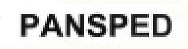 PANSPED (and logo) trademark logo