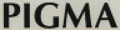 PIGMA (and logo) trademark logo