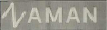 ZAMAN (and logo) trademark logo