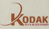 KODAK (and logo) trademark logo