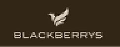 BLACKBERRYS (and logo) trademark logo