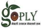 GO PLY (and logo) trademark logo
