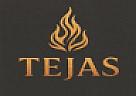 TEJAS (and logo) trademark logo