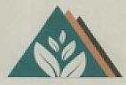 DEVICE MARK trademark logo