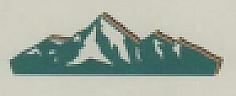 DEVICE MARK trademark logo