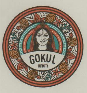 GOKUL INFINITY with Logo trademark logo