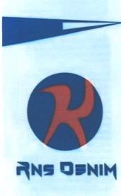 RNS DENIM (and logo) trademark logo