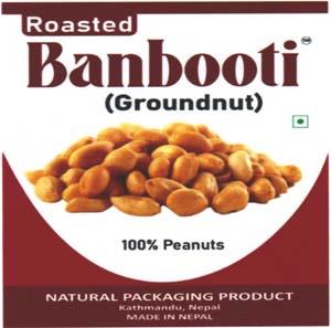 BANBOOTI (and logo) trademark logo