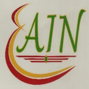 AIN (and logo) trademark logo