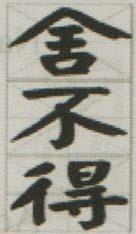 CHINESE CHARACTERS (and logo) trademark logo