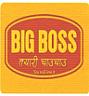 BIG BOSS (and logo) trademark logo