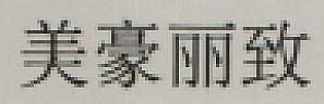 CHINESE CHARACTERS (and logo) trademark logo