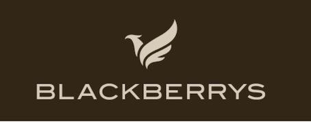 BLACKBERRYS (and logo) trademark logo