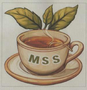 MSS (and logo) trademark logo