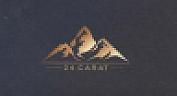 24 CARAT (and logo) trademark logo