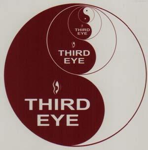 THIRD EYE (and logo) trademark logo
