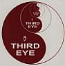 THIRD EYE (and logo) trademark logo