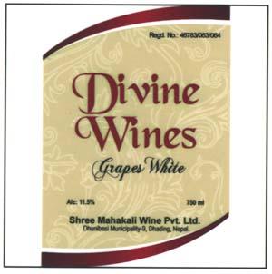 DIVINE WINES GRAPES WHITE (and logo) trademark logo